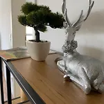 Hausbergblick Apartamento *