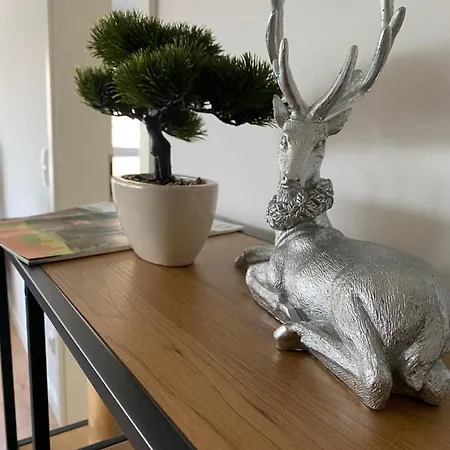 Hausbergblick Apartment *