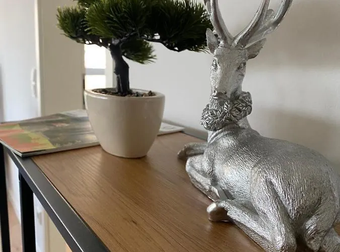 Hausbergblick Appartement *